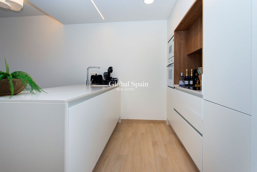 Resale - PENTHOUSE -
GUARDAMAR DEL SEGURA - EL RASO