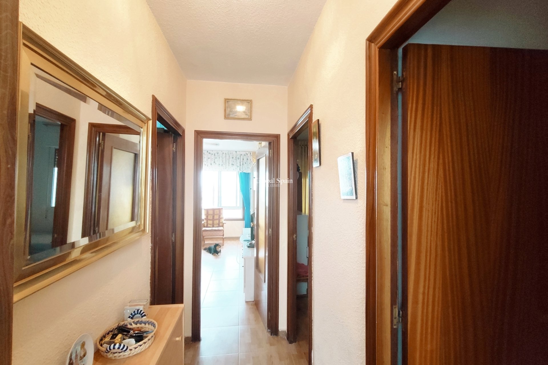 Resale - PENTHOUSE -
LA ZENIA - Costa Blanca