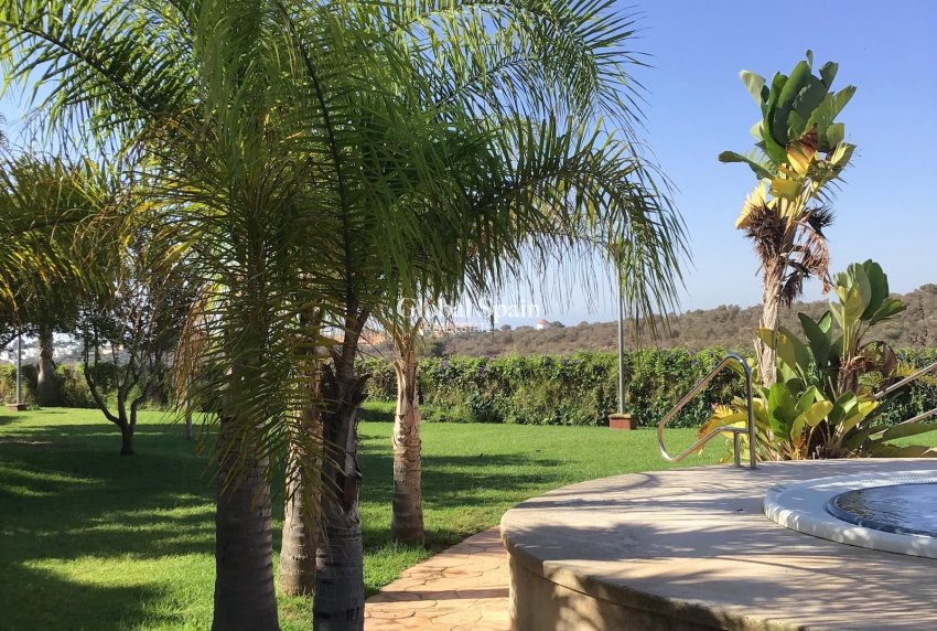 Resale - PENTHOUSE -
MANACOR - optional location detail