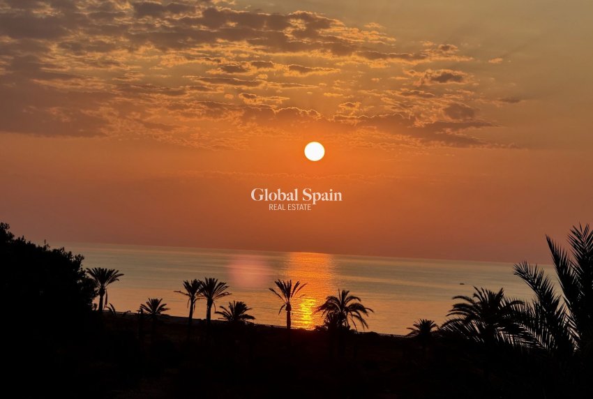 Resale - PENTHOUSE -
SAN MIGUEL DE SALINAS - Inland