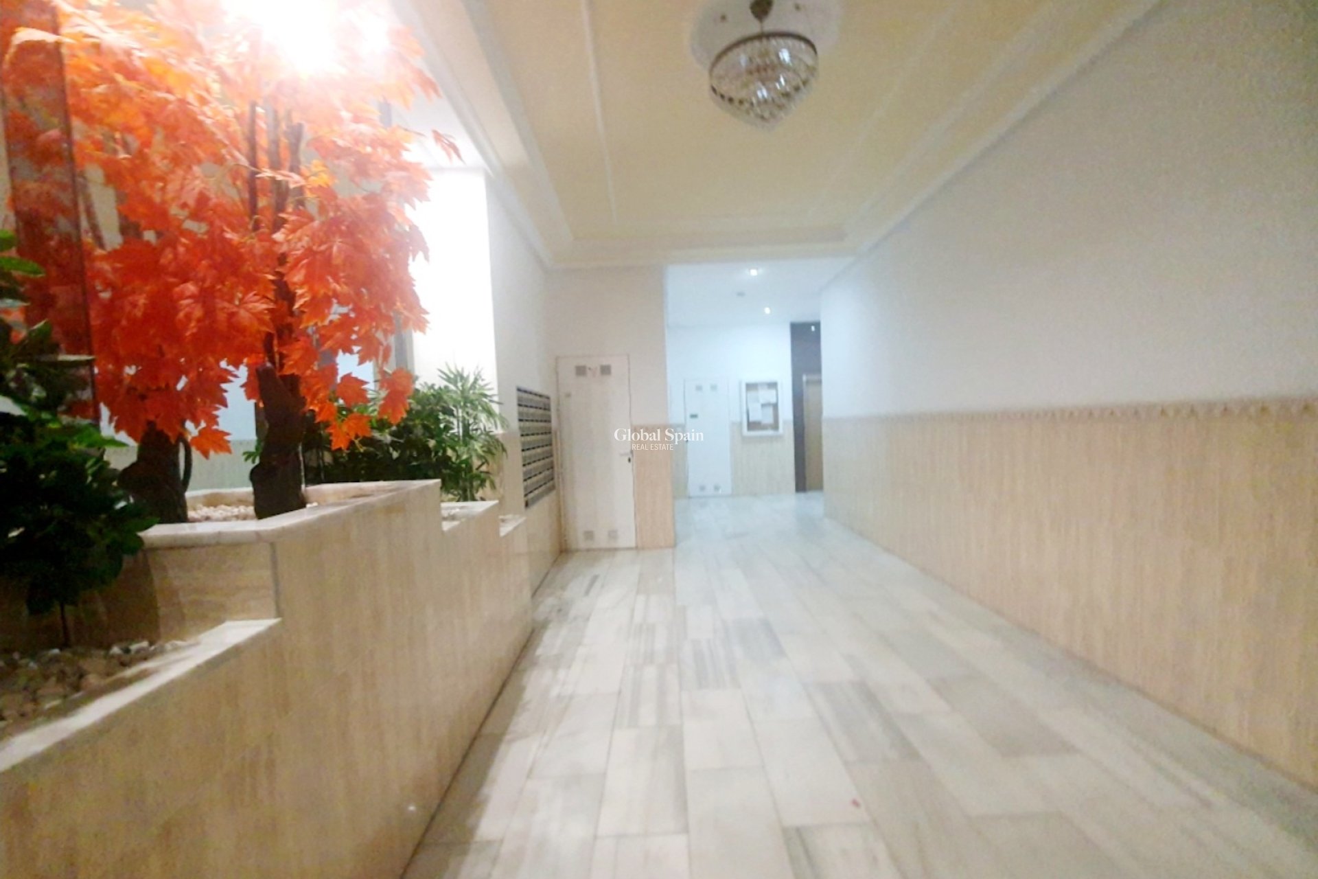 Resale - PENTHOUSE -
TORREVIEJA - Costa Blanca