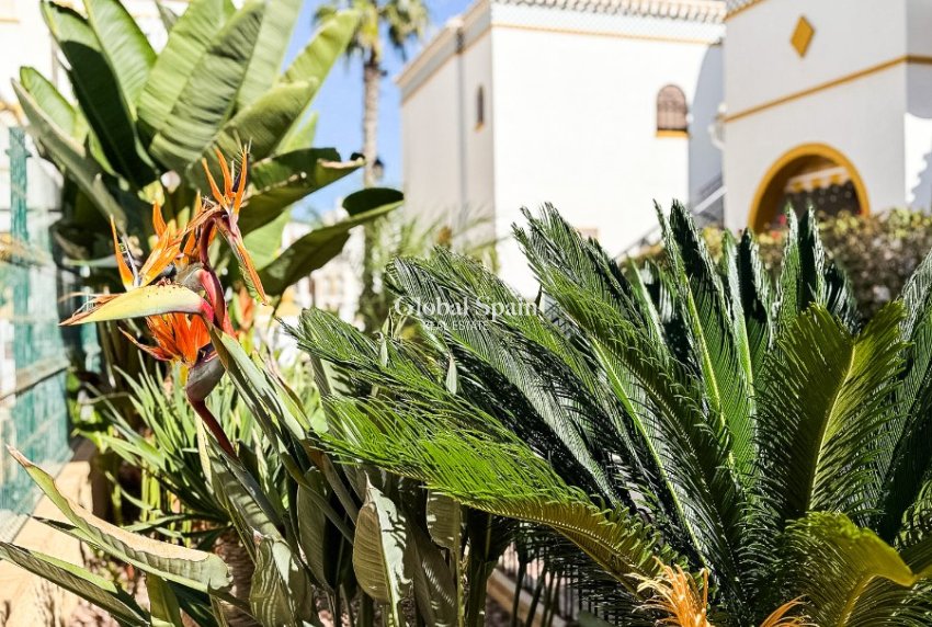 Resale - PENTHOUSE -
TORREVIEJA - La Mata