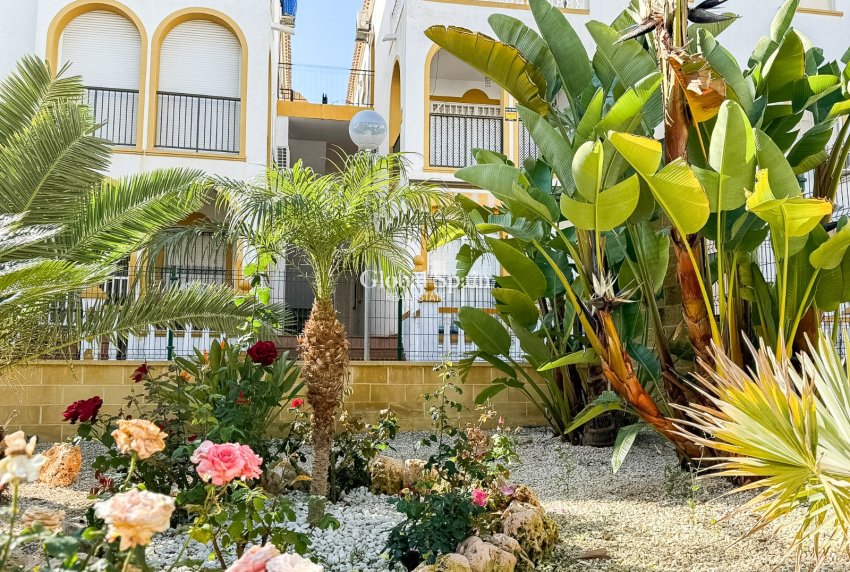 Resale - PENTHOUSE -
TORREVIEJA - La Mata