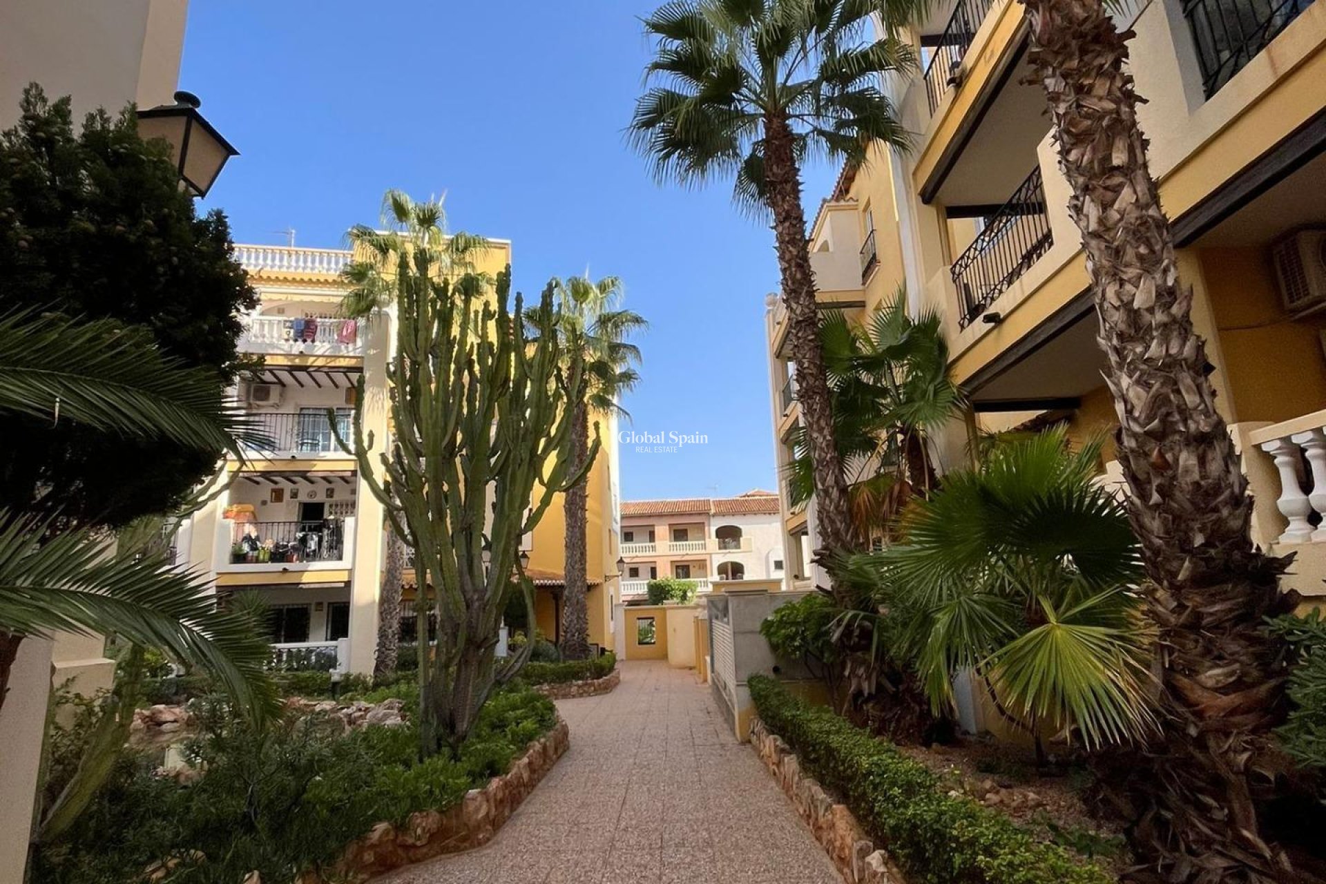 Resale - PENTHOUSE -
TORREVIEJA - Los Frutales
