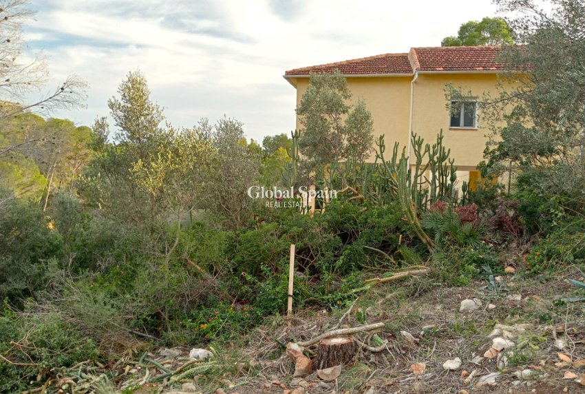 Resale - Plot / Land -
ALTEA