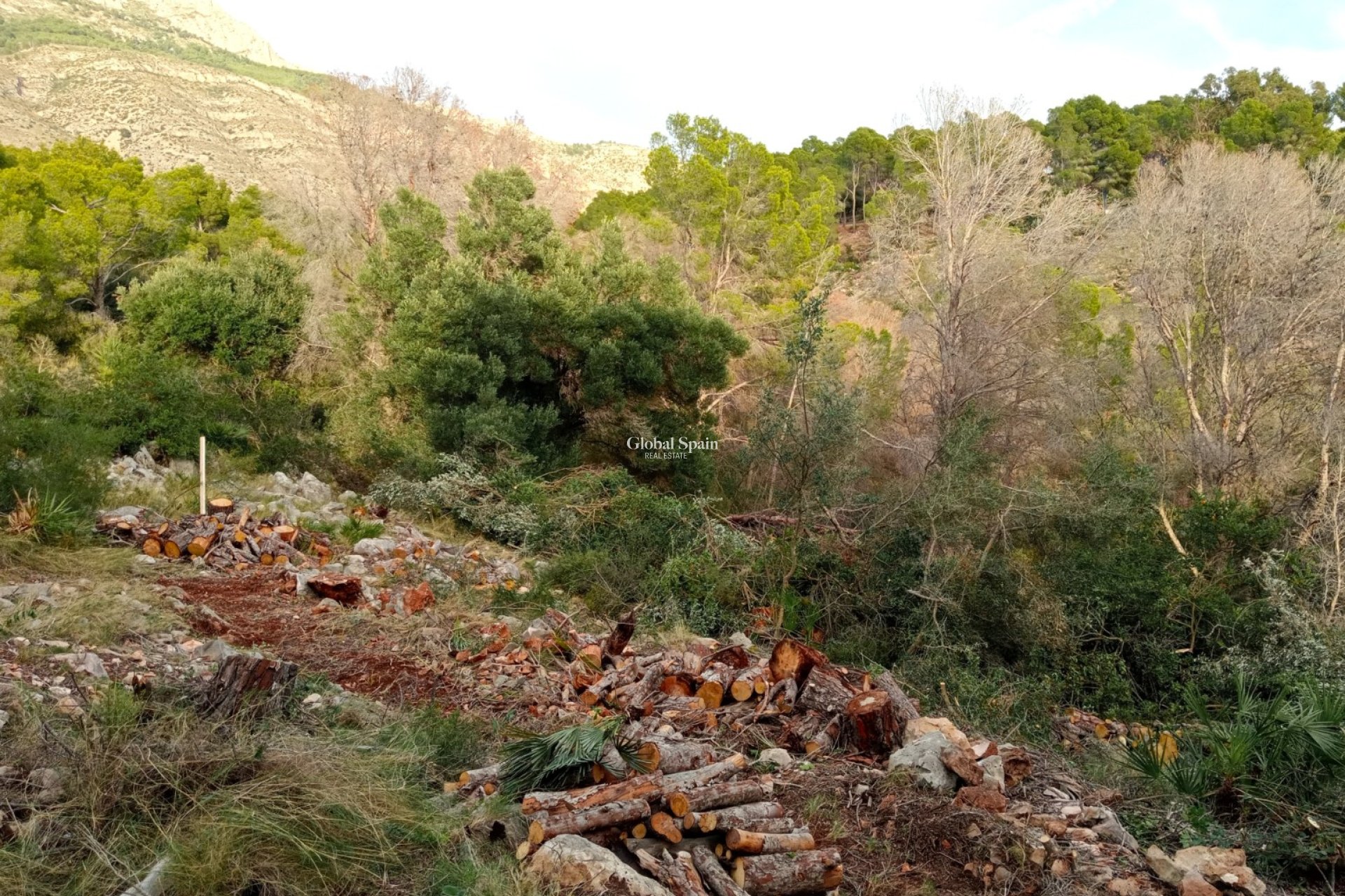 Resale - Plot / Land -
ALTEA