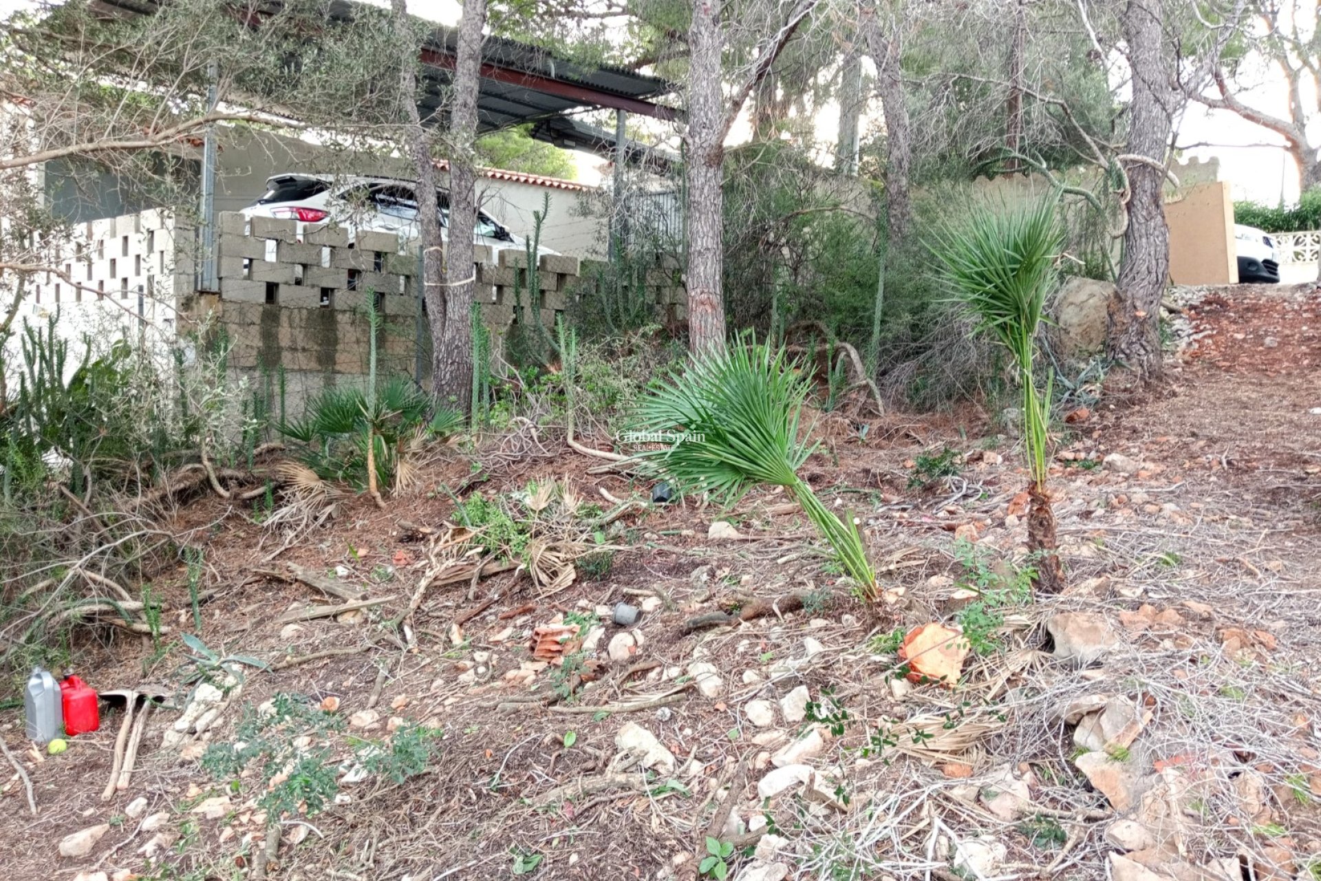 Resale - Plot / Land -
ALTEA