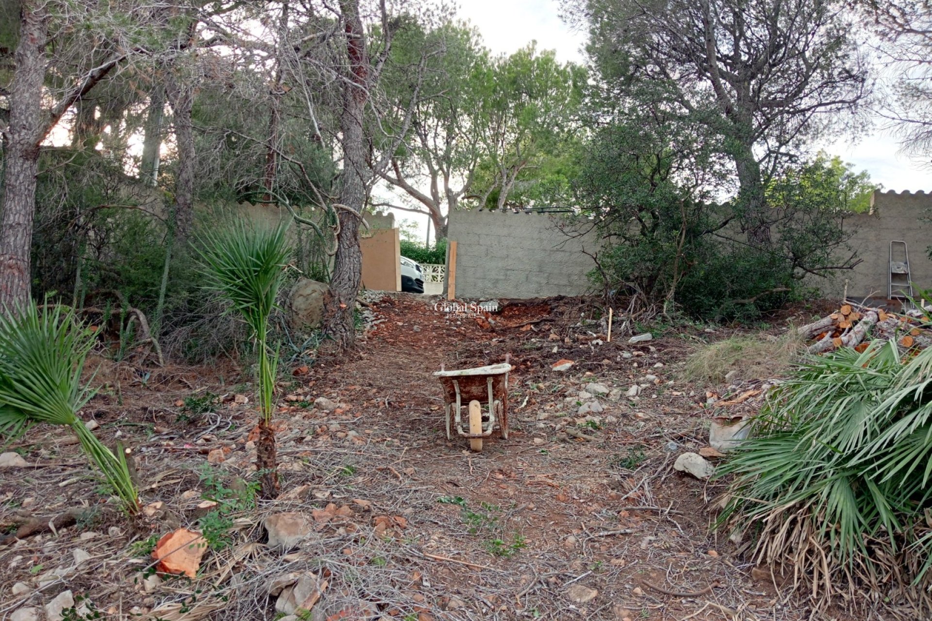 Resale - Plot / Land -
ALTEA
