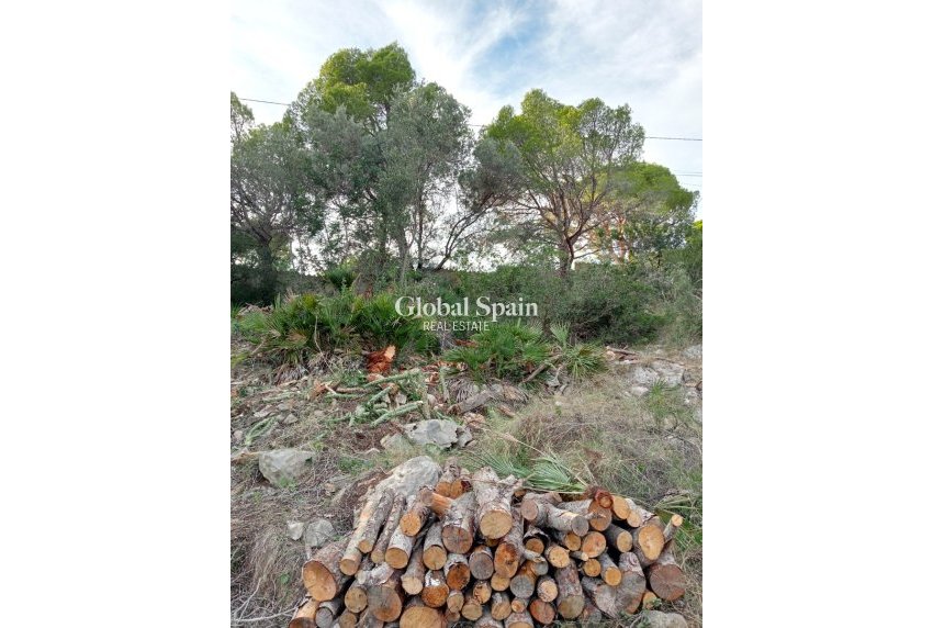 Resale - Plot / Land -
ALTEA