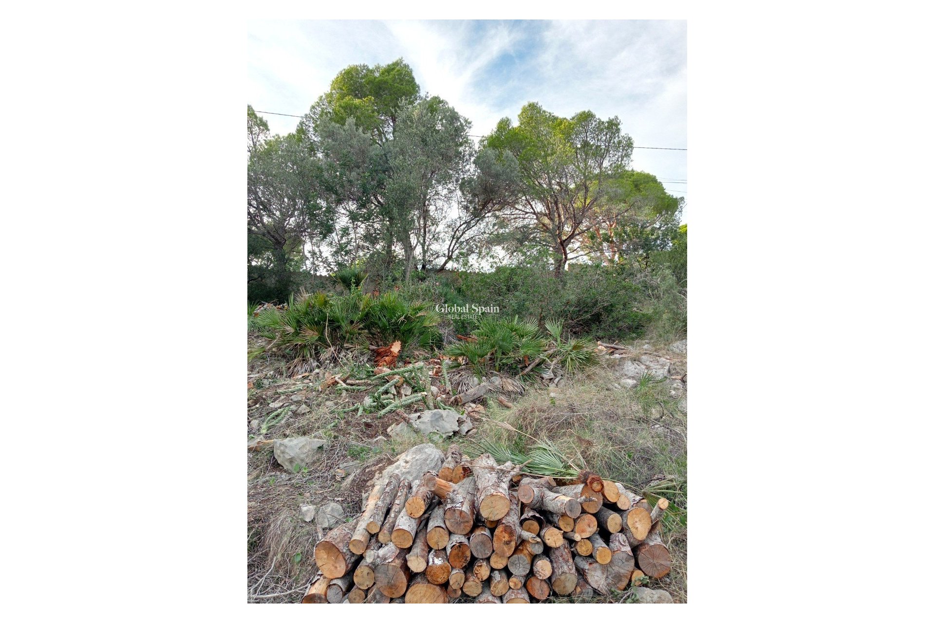 Resale - Plot / Land -
ALTEA