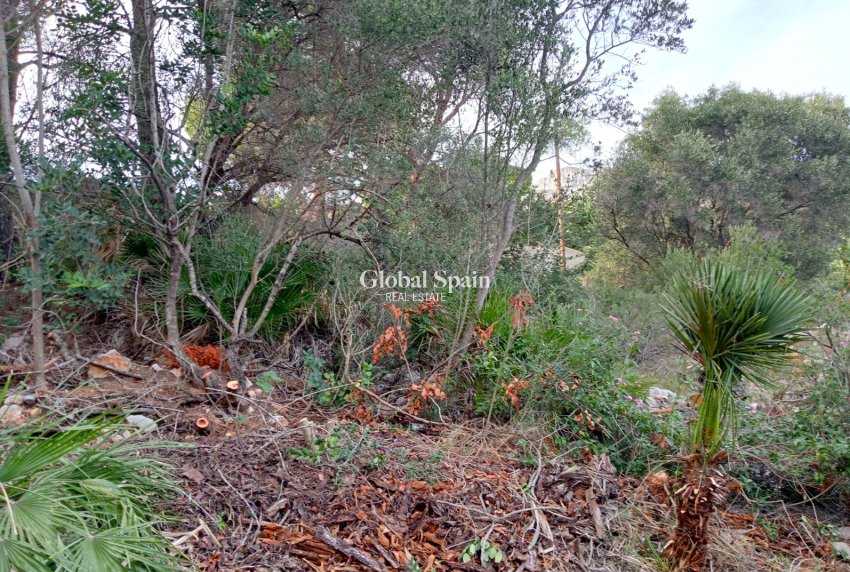 Resale - Plot / Land -
ALTEA