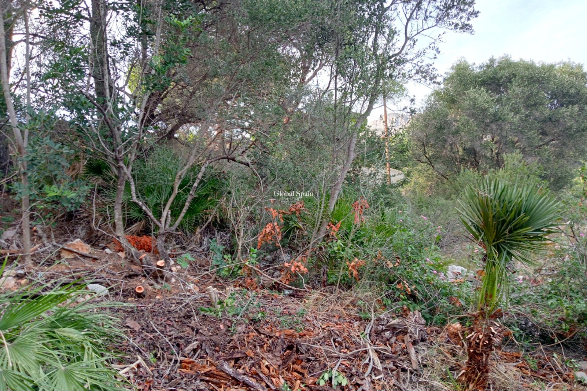 Resale - Plot / Land -
ALTEA