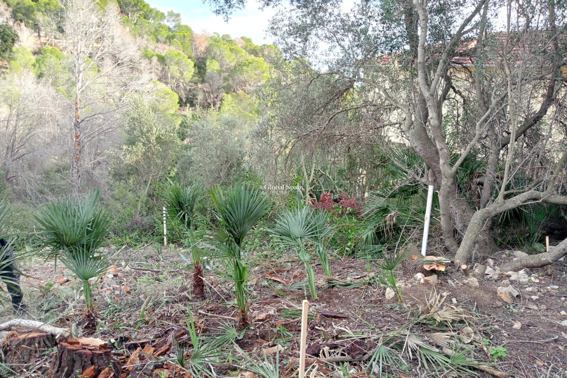 Resale - Plot / Land -
ALTEA