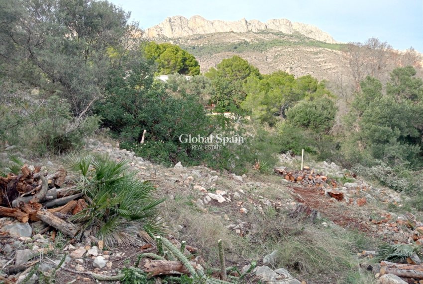 Resale - Plot / Land -
ALTEA