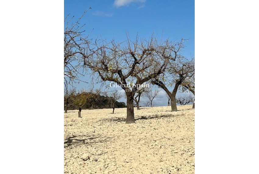 Resale - Plot / Land -
Bullas - Costa Calida