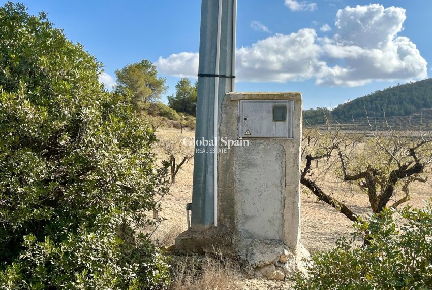 Resale - Plot / Land -
Bullas - Costa Calida