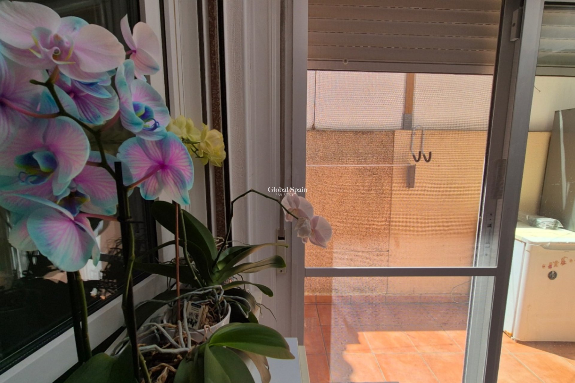 Resale - town_house -
TORREVIEJA - Costa Blanca Sur