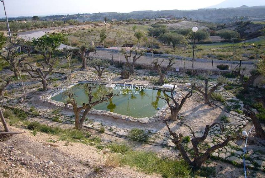 Resale - VILLA -
ABANILLA - Inland