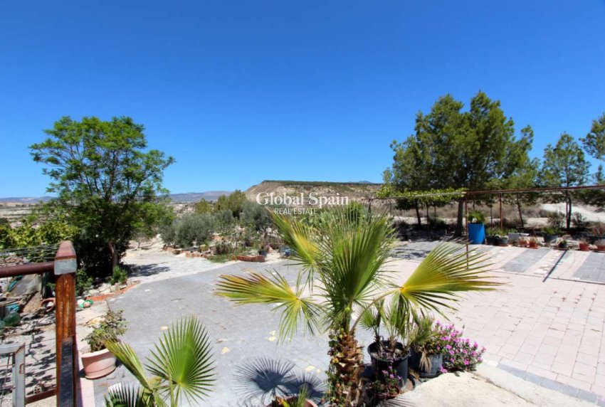 Resale - VILLA -
ALBUDEITE - Inland