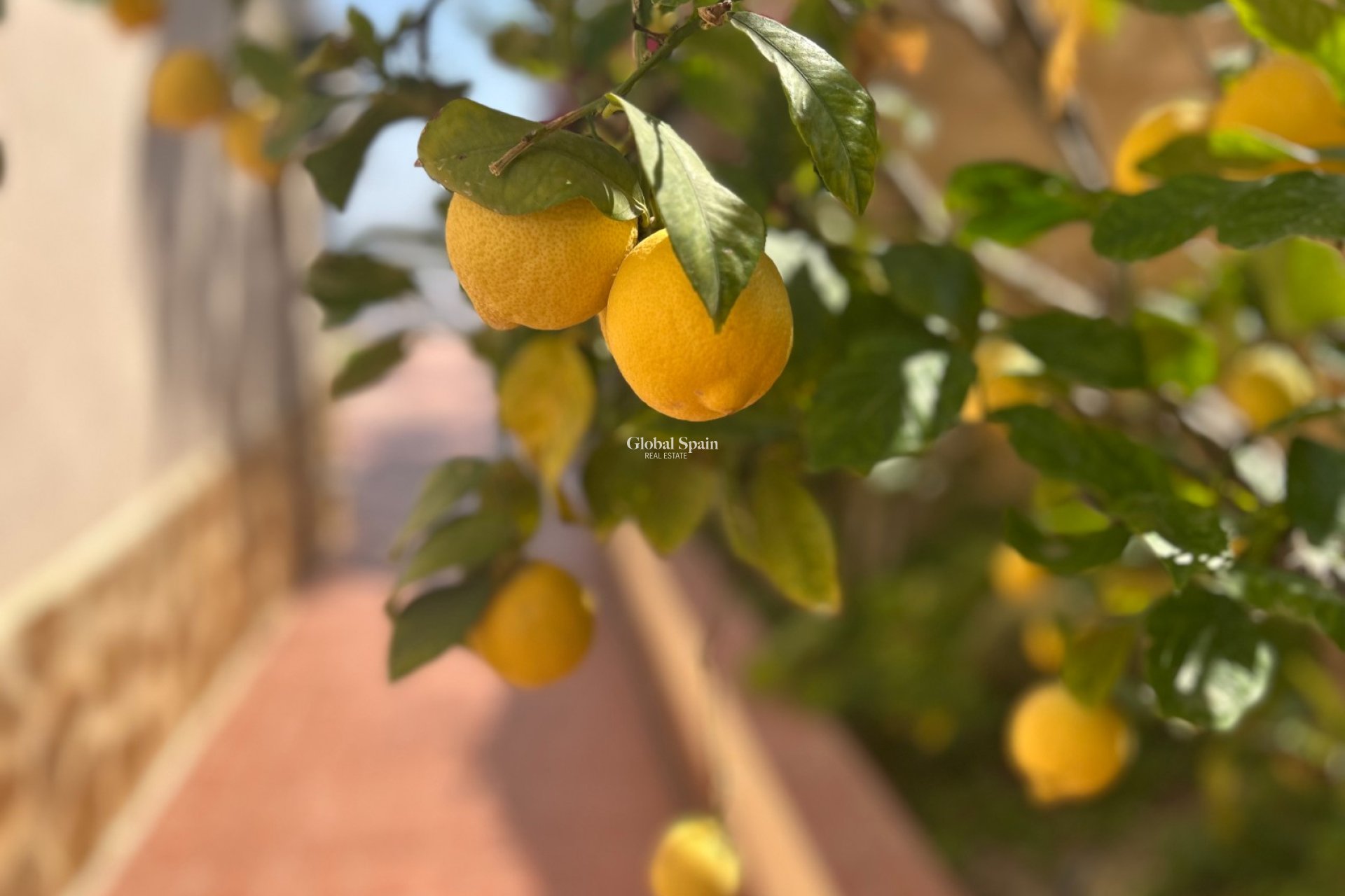 Resale - VILLA -
ALGORFA - Inland