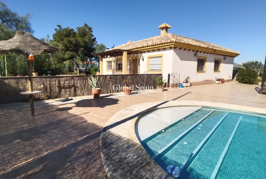 Resale - VILLA -
AVILESES - Inland