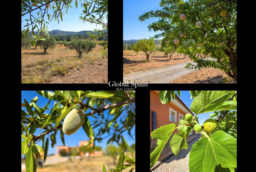 Resale - VILLA -
AYORA - Ayora