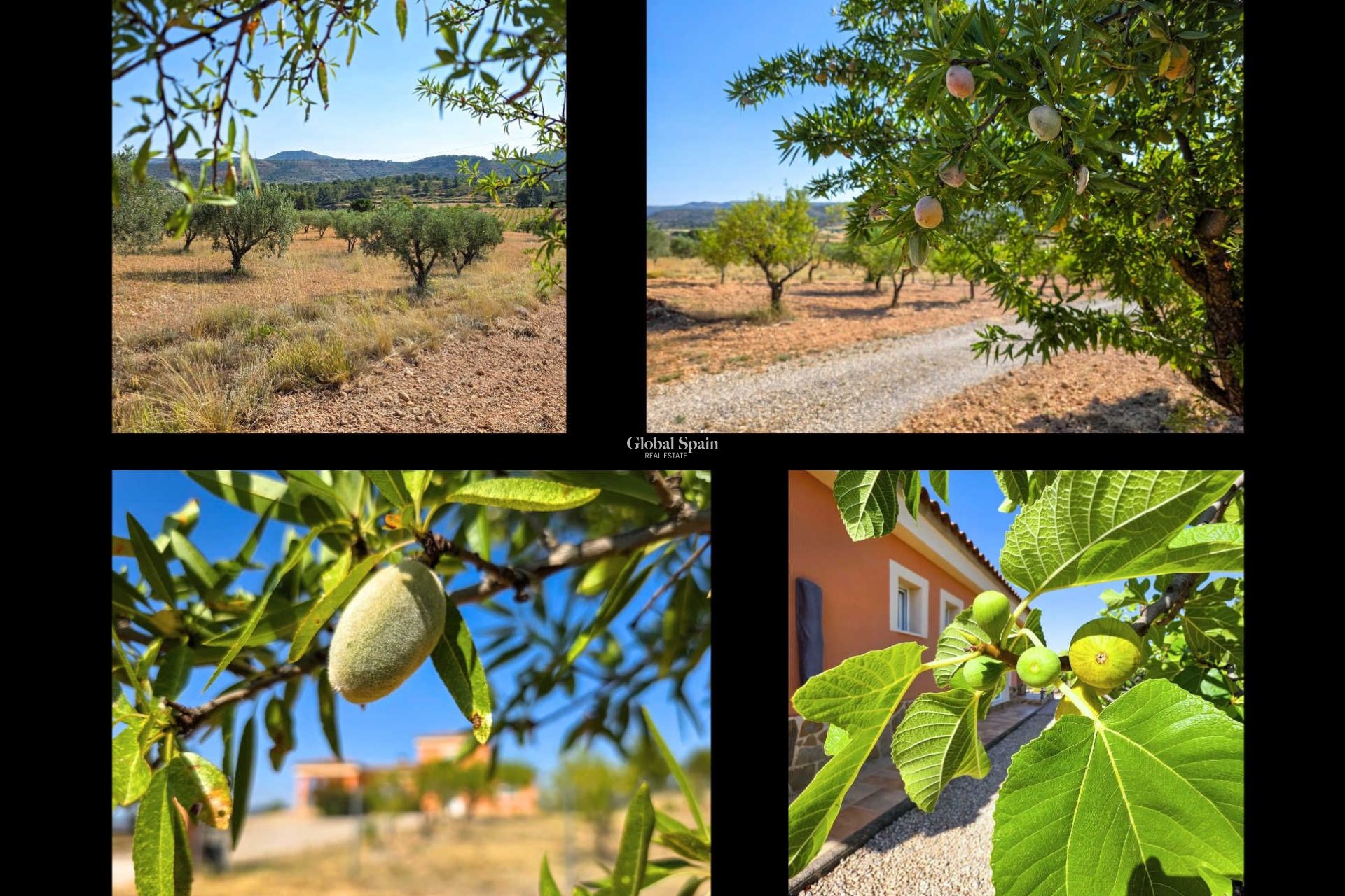 Resale - Villa -
Ayora