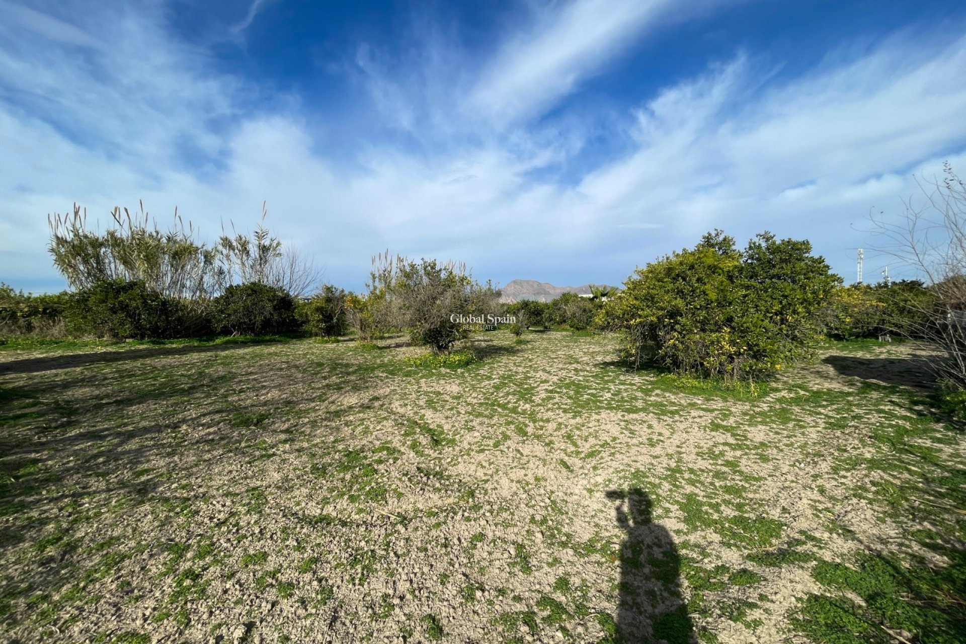 Resale - VILLA -
BENEJÚZAR - Inland