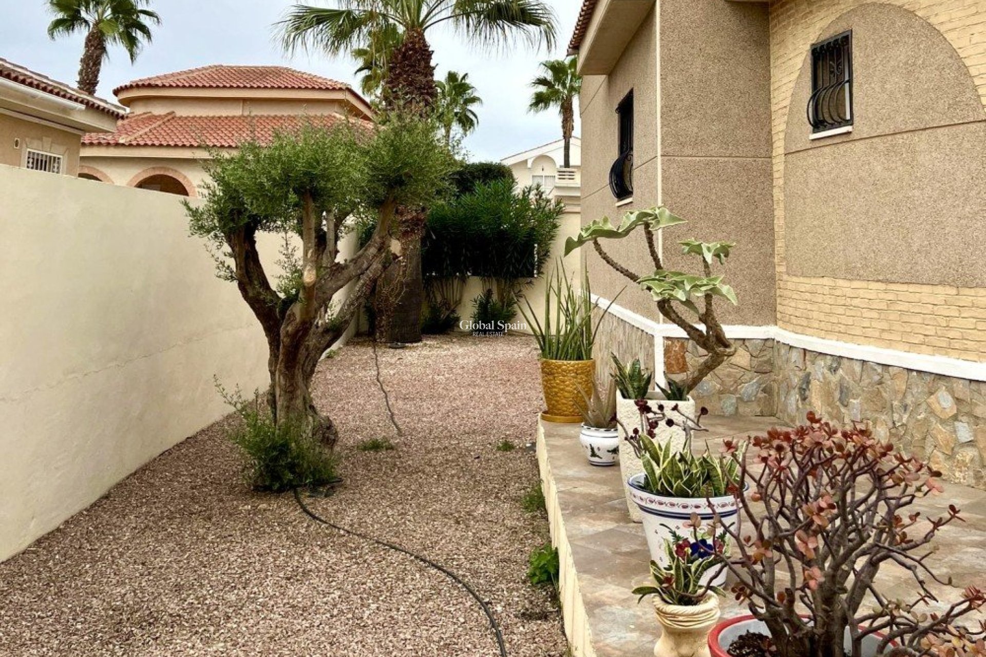 Resale - VILLA -
BENIJÓFAR - Costa Blanca