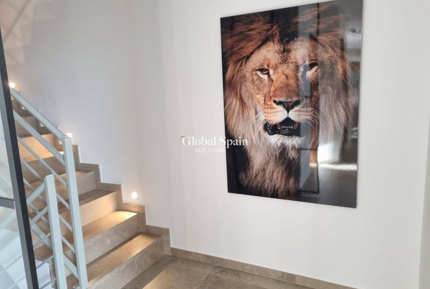 Resale - Villa -
BENIJÓFAR