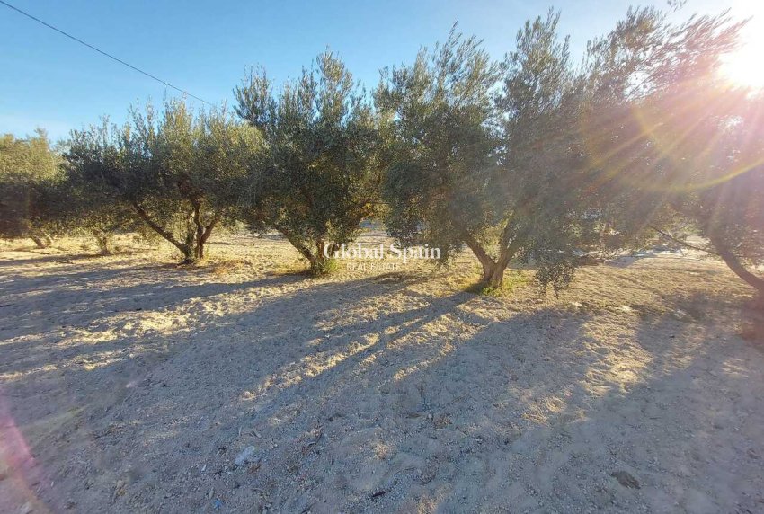 Resale - VILLA -
CALASPARRA - Inland