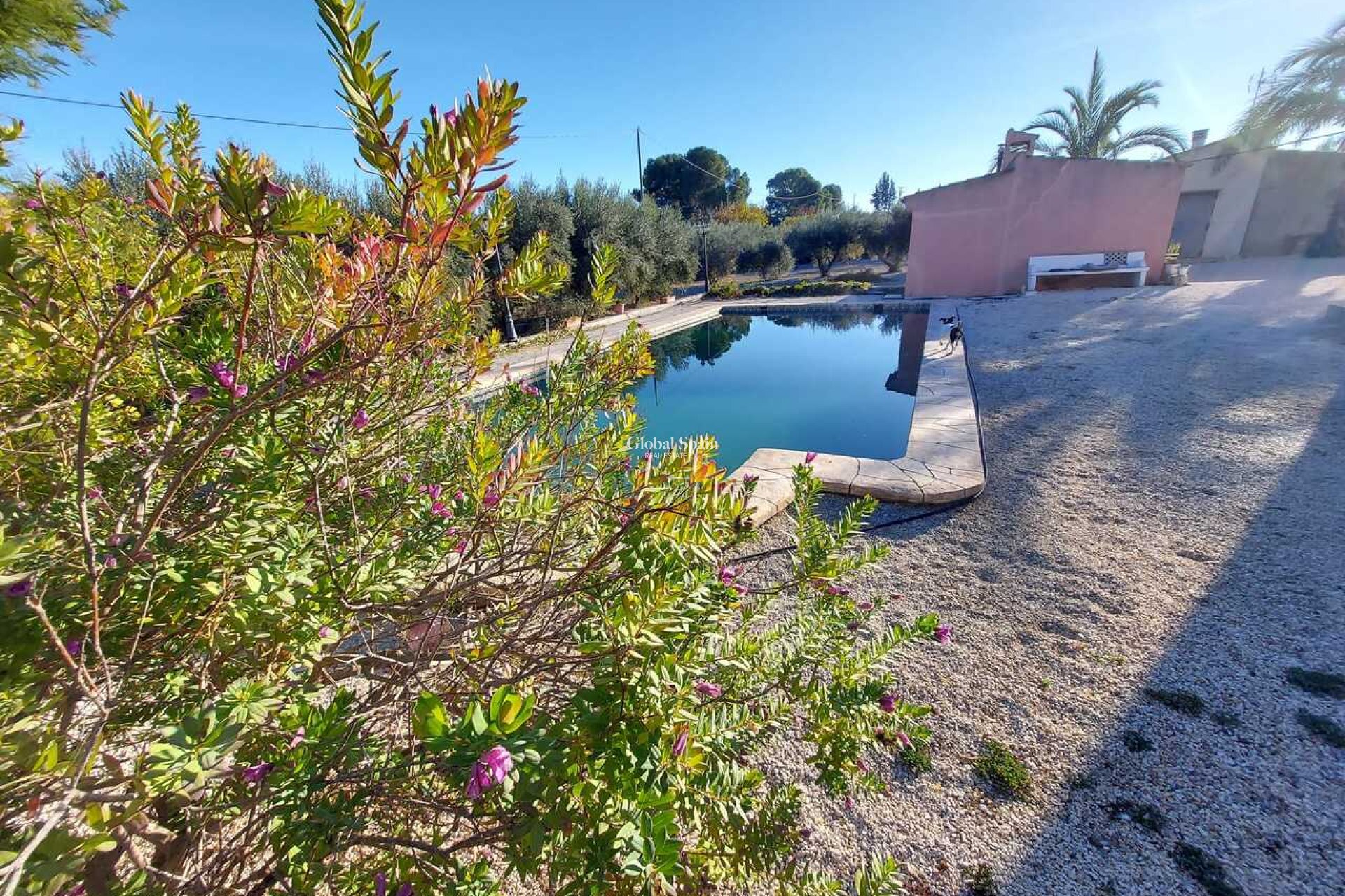 Resale - VILLA -
CALASPARRA - Inland