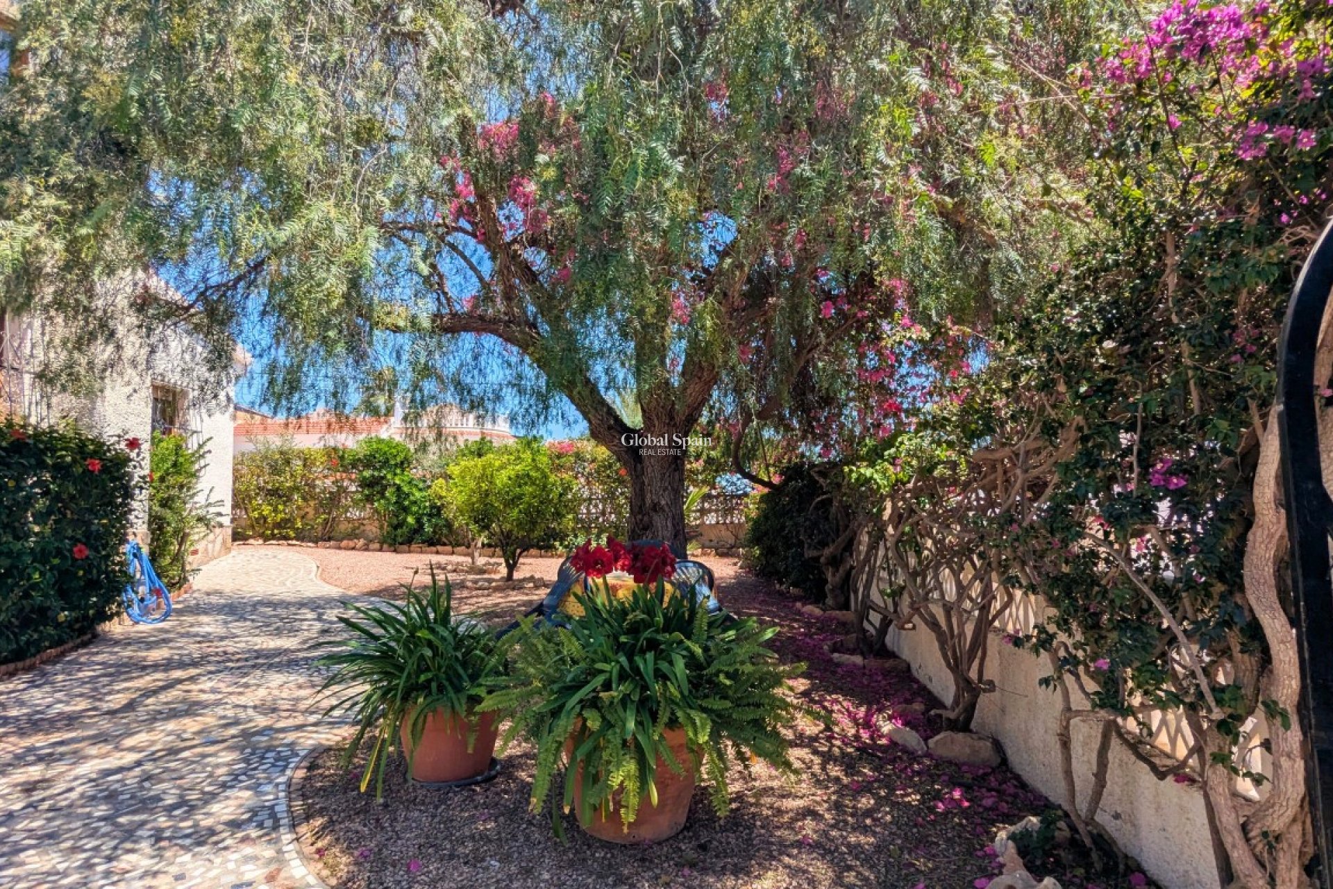 Resale - VILLA -
CIUDAD QUESADA