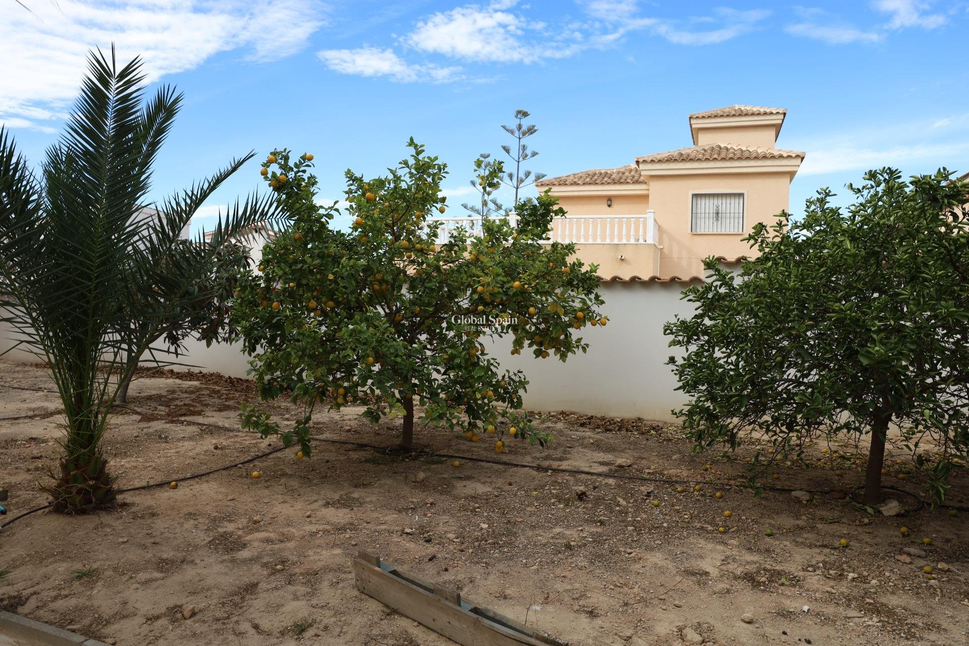 Resale - VILLA -
CIUDAD QUESADA