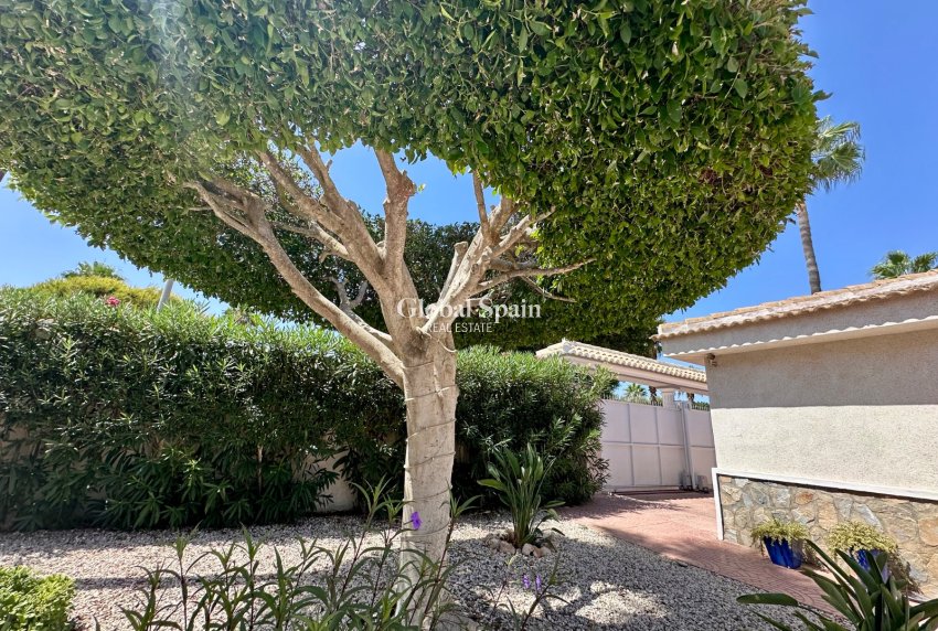 Resale - VILLA -
CIUDAD QUESADA