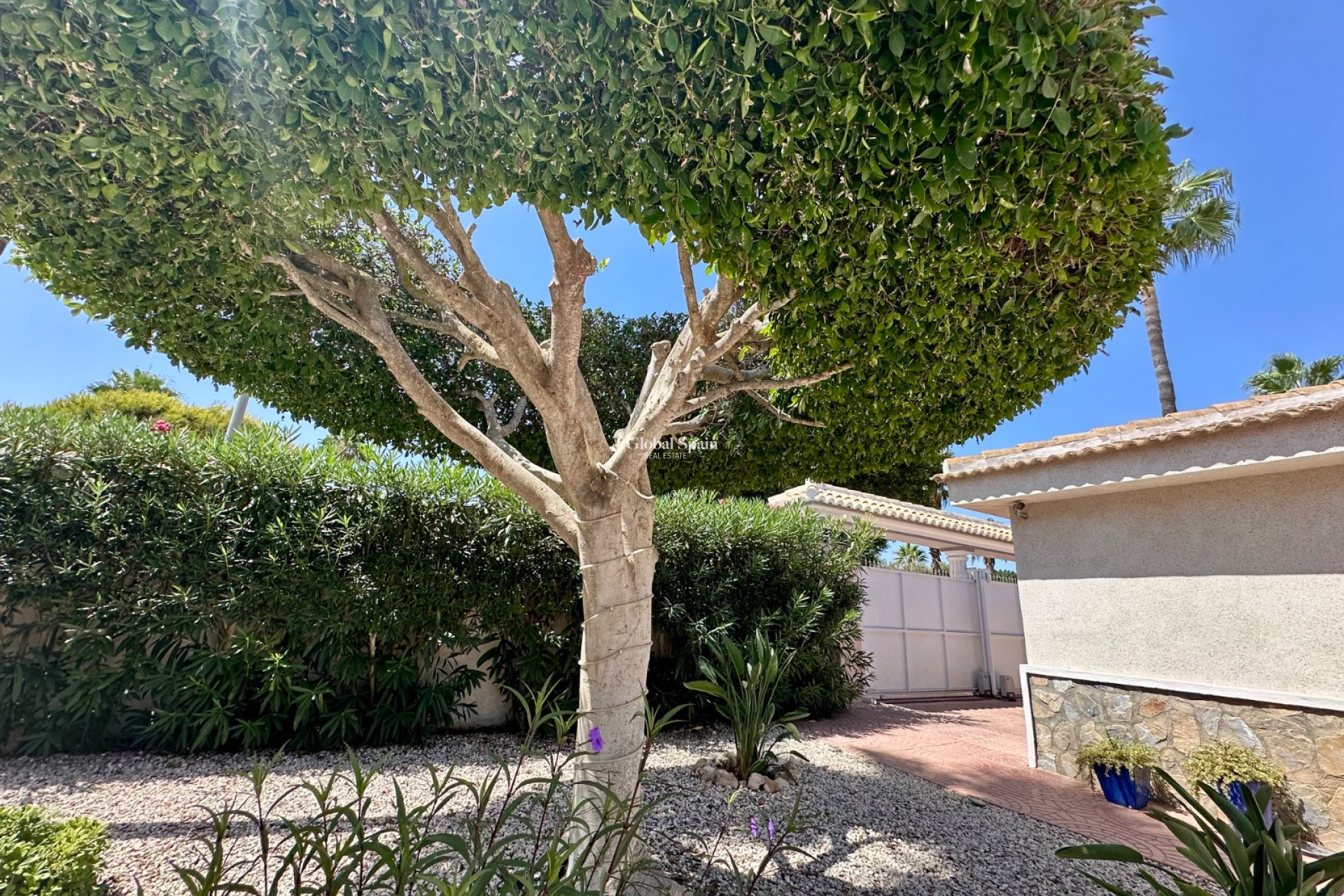 Resale - VILLA -
CIUDAD QUESADA