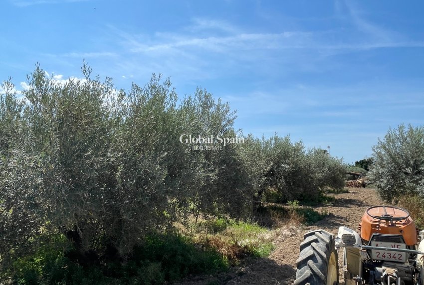 Resale - VILLA -
CREVILLENTE - Inland