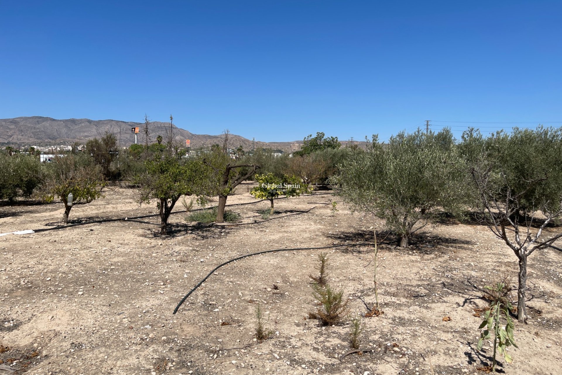 Resale - VILLA -
CREVILLENTE - Inland