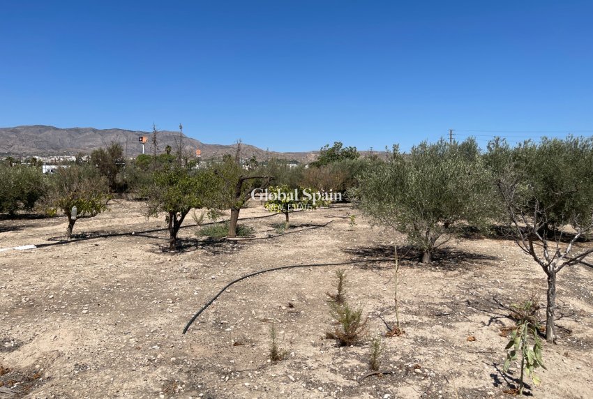 Resale - VILLA -
CREVILLENTE - Inland