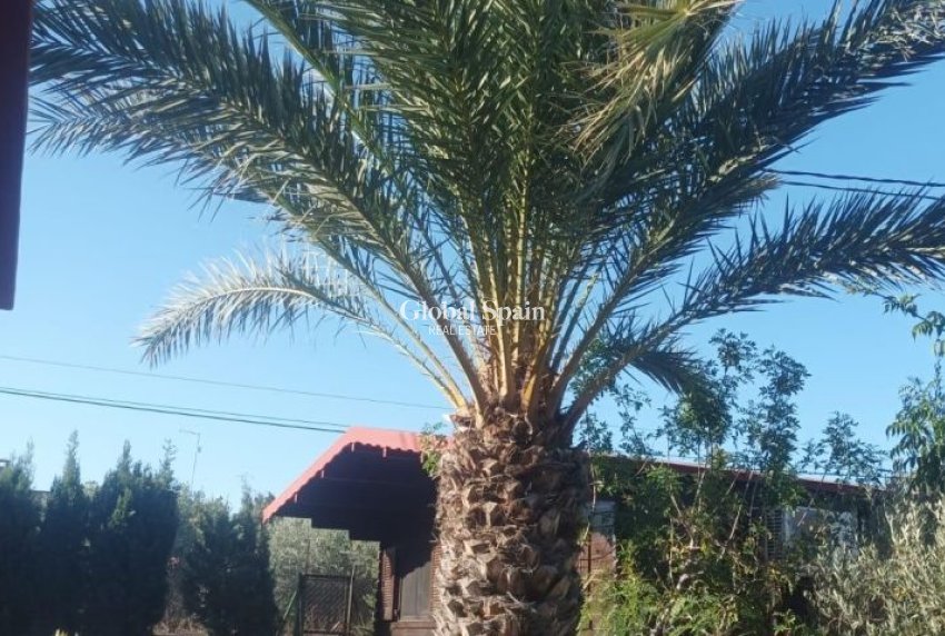 Resale - VILLA -
ELCHE - Costa Blanca