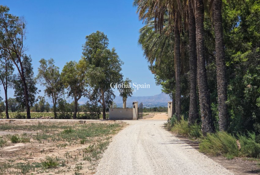 Resale - VILLA -
ELCHE - Costa Blanca