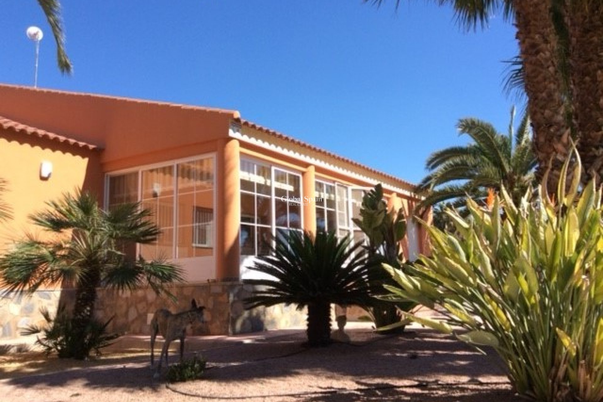 Resale - VILLA -
ELCHE