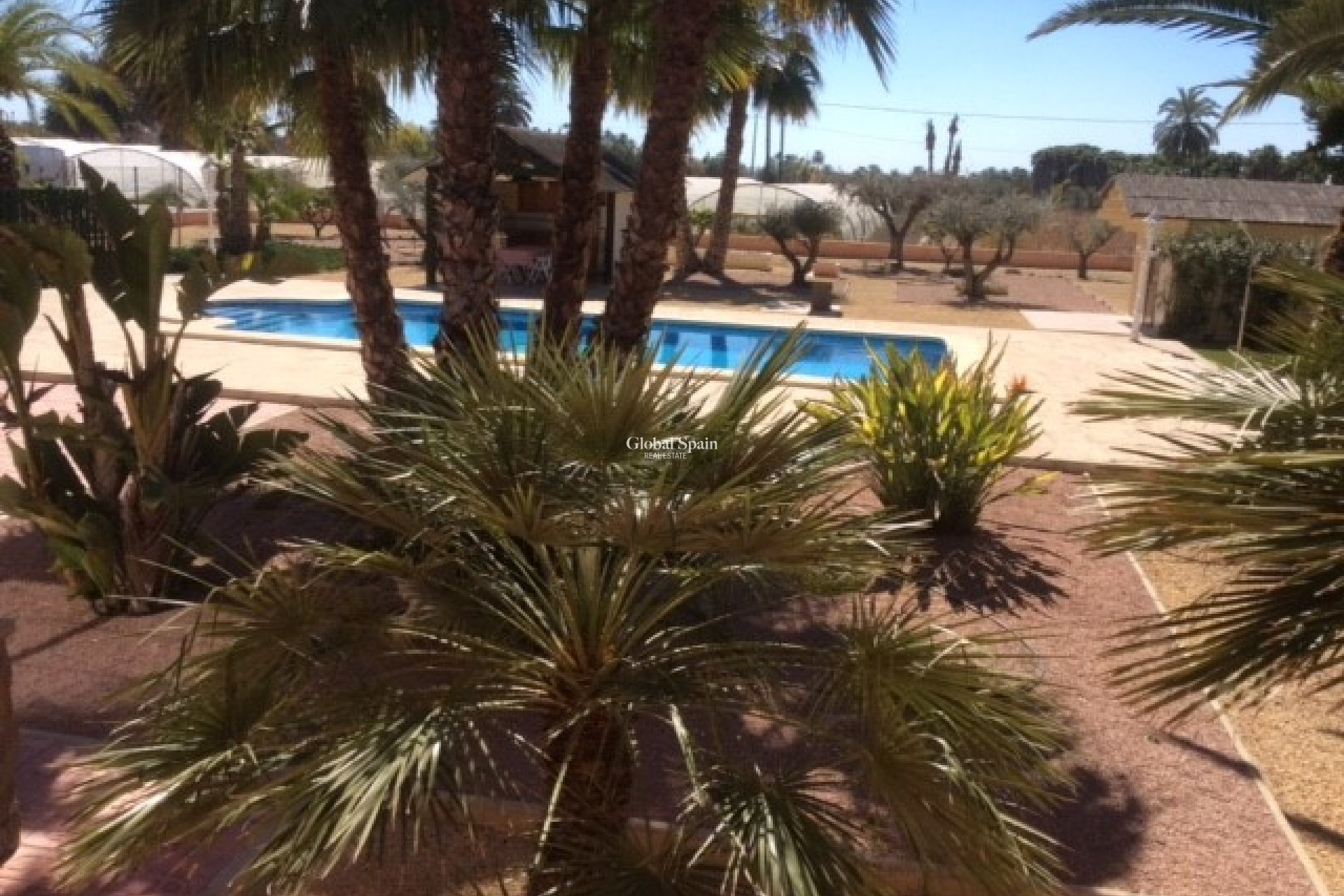 Resale - VILLA -
ELCHE