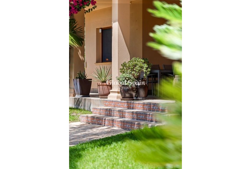 Resale - VILLA -
ELCHE