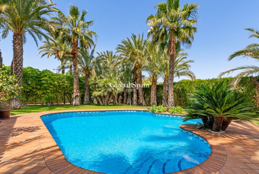 Resale - VILLA -
ELCHE