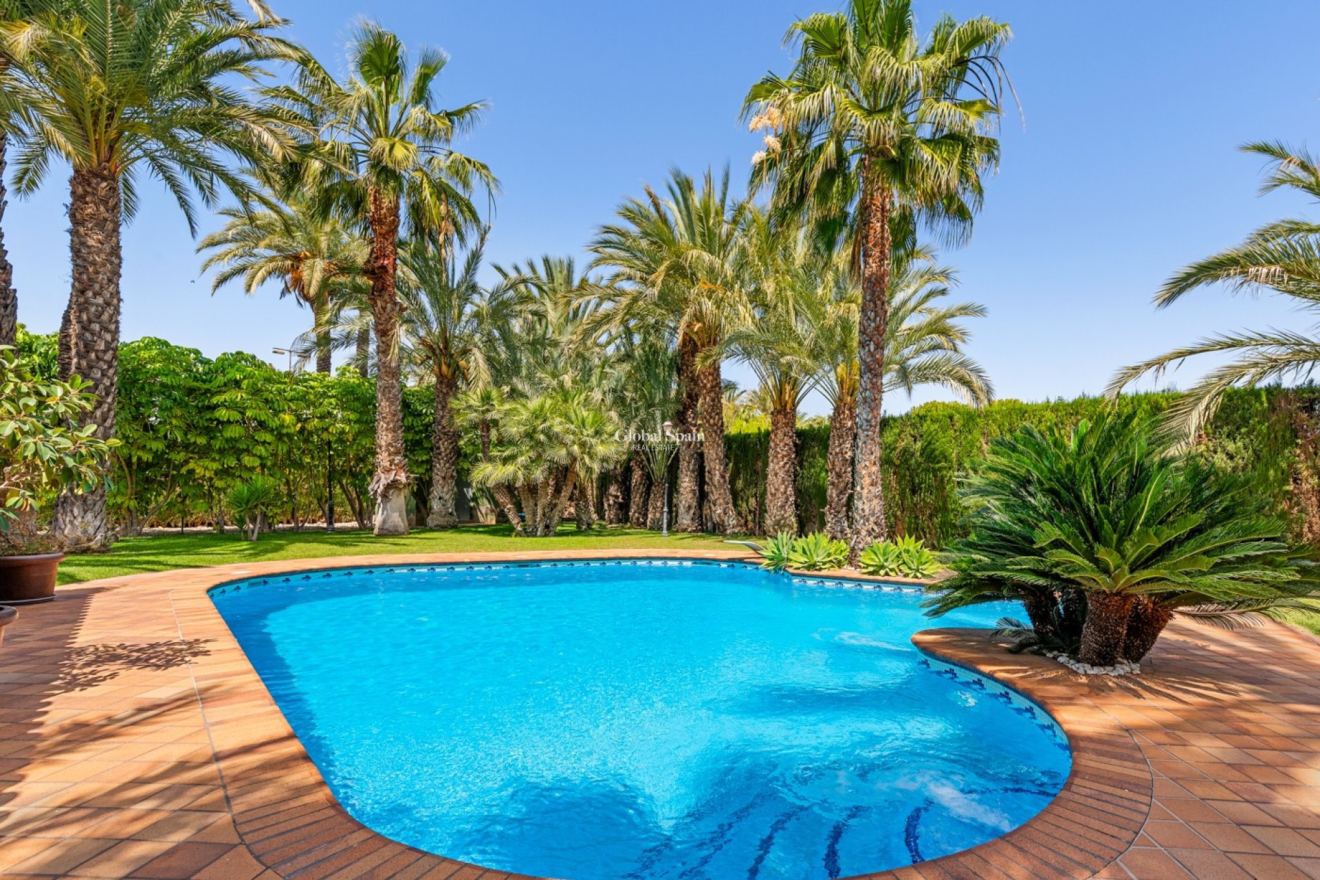 Resale - VILLA -
ELCHE