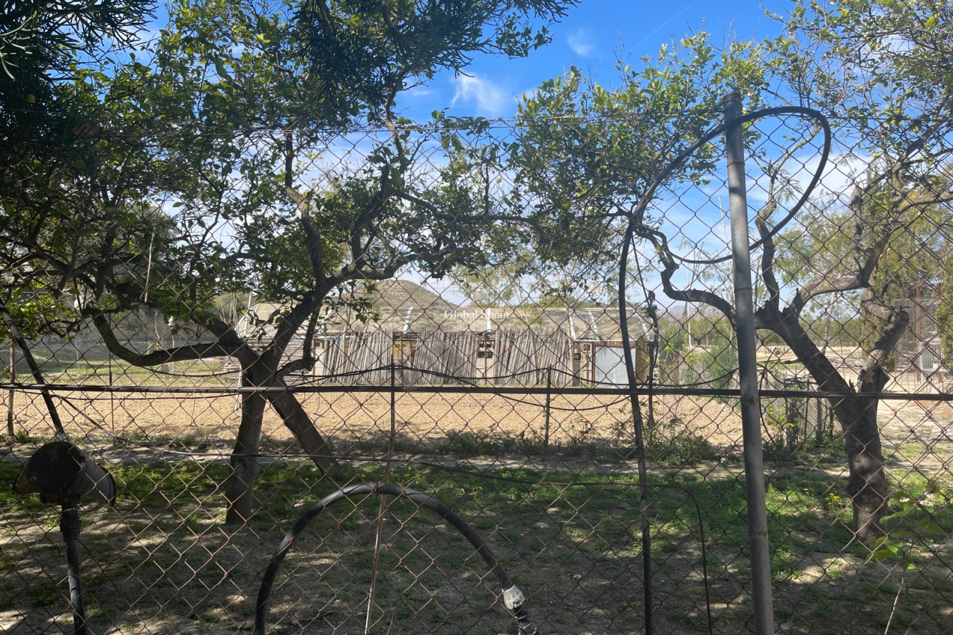 Resale - VILLA -
GUARDAMAR DEL SEGURA - Costa Blanca