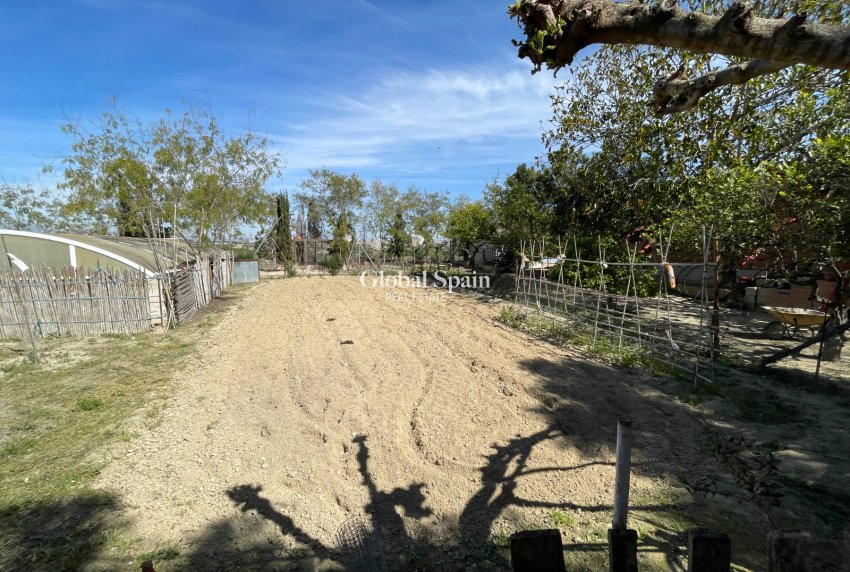 Resale - VILLA -
GUARDAMAR DEL SEGURA - Costa Blanca