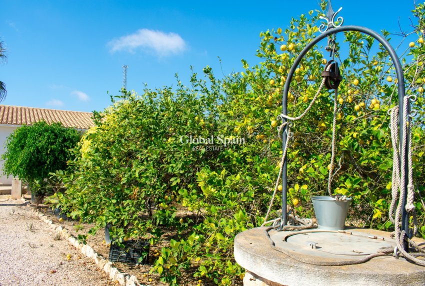 Resale - VILLA -
GUARDAMAR DEL SEGURA - EL RASO