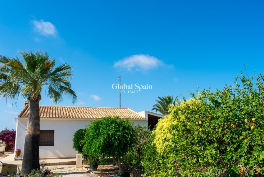 Resale - VILLA -
GUARDAMAR DEL SEGURA - EL RASO